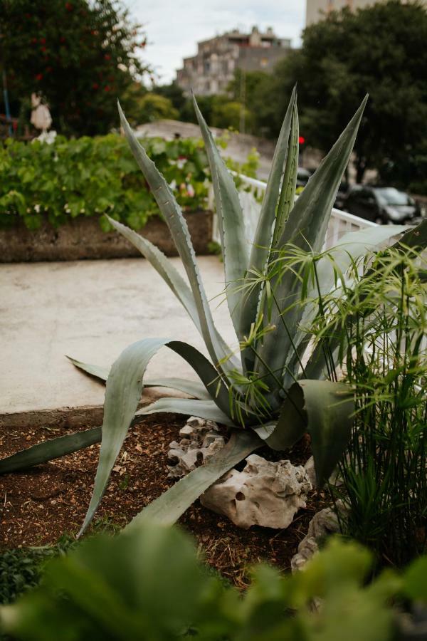 Apartment Casa Depoli ริเยกา ภายนอก รูปภาพ